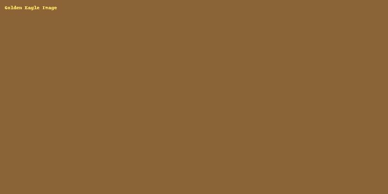 Golden Eagle biology